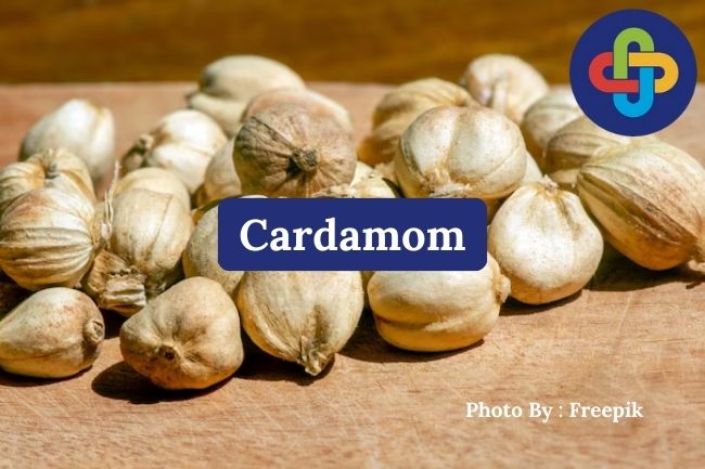  What is Cardamom? Origins and History